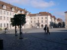  les plantations de la place de la révolution